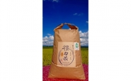 體力米（たいりょくまい）コシヒカリ玄米10kg