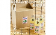 幸あり梨ジュース 250ml×6本セット ナシジュース 果汁100％ なし ナシ フルーツ 果物 ギフト 贈り物 送料無料