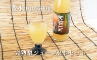 梨ジュース2本セット≪ナシジュース 果汁100％ なし ナシ フルーツ 果物 ギフト 贈り物≫