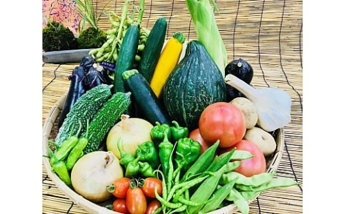 [野菜セット] 産地直送！新鮮とれたて旬の野菜 ｜産地直送 旬野菜 野菜セット 新鮮 とれたて 農家直送 [3246] 69943 - 奈良県香芝市