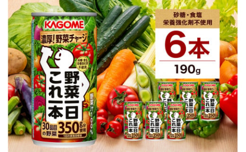 カゴメ 野菜一日これ一本 190g × 6缶 野菜ジュース 野菜汁100% 無添加 砂糖不使用 食塩不使用 栄養強化剤不使用 香料不使用 30品目 野菜 ジュース リコピン β-カロテン 食物繊維 ビタミンA ドリンク 飲料 かごめ お取り寄せ KAGOME 送料無料 那須塩原市 ns038-005