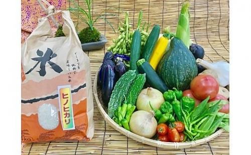 【野菜とお米10kgセット】産地直送！新鮮とれたて旬の野菜＆ひのひかり10kg [1143] 69979 - 奈良県香芝市
