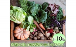 生態系豊かな環境で生命力溢れる美味しい野菜づくりを目指して市貝町にて有機農業に取り組んでいます。ご家庭でバランスよくお料理にお使いいただけるよう選りすぐった季節の野菜を詰め合わせてお届けさせていただき