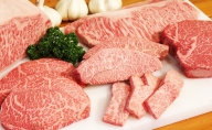幻の田子牛逸品セットA/牛肉1.1kg ニンニク・特製タレ付