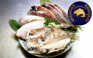 塩干物 (自家製天日干) 魚貝類 約1kg 詰合わせ 7020 - 神奈川県逗子市