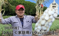 丸美農園 田子町産にんにく家庭用バラ約1kg