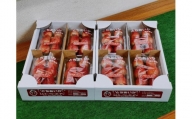 【朝採り・農園直送（3月~5月収穫・冷蔵で発送）】栃木県産とちあいか（レギュラー270ｇ×4パック）×2箱