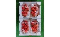 【朝採り・農園直送（3月~5月収穫・冷蔵で発送）】栃木県産とちあいか（大粒290ｇ×2パック）×2箱
