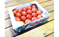 渡邉農園の「五峰美トマト」1箱 約2kg 栃木県大田原市産