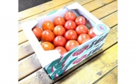 渡邉農園の「五峰美トマト」2箱 約4kg 栃木県大田原市産