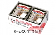 C001-24　プレミアム冷凍餃子120個（SAIBOKU×ぎょうざの満洲）