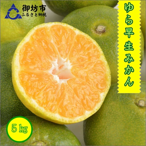 御坊市・日高川町・由良町産 ゆら早生みかん(ゆらっ子)5kg《先行予約》 70407 - 和歌山県御坊市