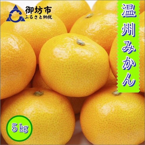 御坊市・日高川町・由良町産 温州みかん(ゆらっ子)5kg《先行予約》 70408 - 和歌山県御坊市