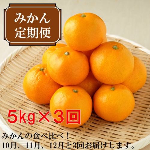 厳選みかん定期便5kg　3回（10月、11月、12月）《先行予約》固定月にお届け予定 70451 - 和歌山県御坊市