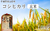【流山産コシヒカリ】新川耕地コシヒカリ 玄米 米 10kg
