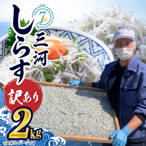 【12月24日受付分まで年内発送】訳あり しらす干し 三河しらす 国産 1kg × 2 計 2kg 新鮮 しらす 釜茹で うま味 濃縮 塩分 控えめ まろやかな味わい やみつき ご飯のお供 おつまみ 酒の肴 しらす丼 サラダ 魚 海産物 冷凍 お取り寄せ グルメ 食品 愛知県 碧南市 送料無料 H018-040 70548 - 愛知県碧南市