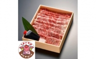 千葉県産　みやざわ牛　サーロインすき焼き肉500g【1128938】