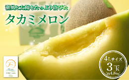 九十九里浜の東端に位置し、飯岡灯台のある刑部岬から一望できる飯岡地区は、夏は涼しく冬はあたたかです。潮風のミネラルを浴びながら一年を通して平均気温が17度という気象条件で、温度管理の難しいメロン栽培に