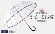 高級透明傘　かてーる16桜　紺【1136629】