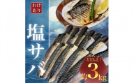 ＜訳あり＞勝浦市の人気の海鮮お礼品 無添加 塩サバ 3kg【1240161】