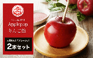 KBG001 【りんご飴専門店Applepop りんご飴】人気No.1「プレーン」！2本セット ふるさと納税 りんご 林檎 あめ アメ キャンディ フルーツ 屋台 出店 お祭り スイーツ おやつ 本格 旬 食物繊維 カリウム ダイエット 移動販売 千葉県 木更津市 送料無料