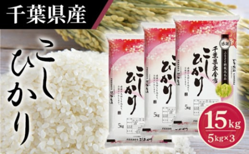 No.161 令和6年産 千葉県産コシヒカリ5kg×3袋 ／ お米 こしひかり 千葉県