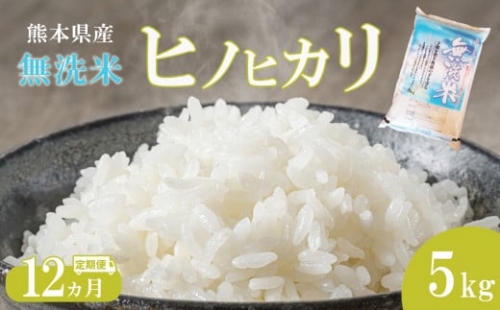 【定期便12回】 無洗米 ひのひかり 5kg 熊本県産
