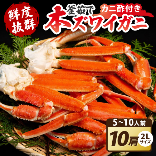 【大好評！カニ酢付き】厳選！！釜茹で 本ズワイガニ ２Lサイズ10肩 707280 - 京都府京丹後市