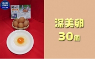 かわなべ鶏卵農場のこだわりのたまご　深美卵30個 [№5714-0127]