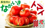 E01-001 ながいきトマト 4kg
