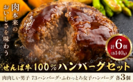 せんば牛100%ハンバーグ 140g×6個 株式会社地方の恵み《60日以内に出荷予定(土日祝除く)》千葉県 東庄町 ハンバーグ 千葉 銘牛 せんば牛 牛肉100% 個包装 冷凍 おかず 牛肉 セット 国産
