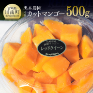 宮崎県産マンゴー 黒木農園の冷凍カットマンゴー(種なし)500g [ レッドクイーン マンゴー 果物 フルーツ スイーツ ]