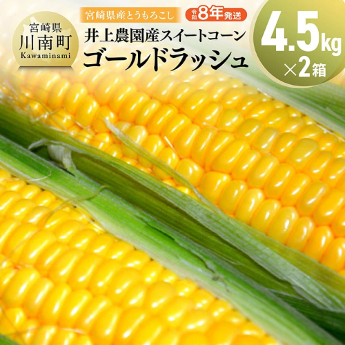 【令和8年発送】宮崎県産とうもろこし　井上農園産スイートコーン(ゴールドラッシュ)4.5kg×2 【 トウモロコシ スィートコーン 2026年発送 先行予約 数量限定 期間限定 】 71016 - 宮崎県川南町