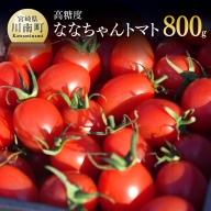 甘みが高く、酸味とのバランスが良い「ななちゃんトマト800g」【ミニトマト とまと 九州産 宮崎県産 希少 健康 ヘルシー】