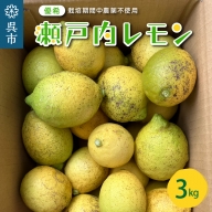 呉市大崎下島産 栽培期間中農薬不使用 瀬戸内レモン 3kg
