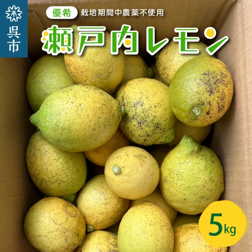 呉市大崎下島産 栽培期間中農薬不使用 瀬戸内レモン 5kg