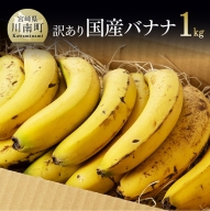 [訳あり] 国産 バナナ 1kg [ 果物 くだもの フルーツ ] 宮崎県川南町