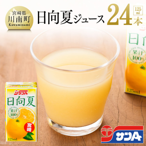 サンA 日向夏ジュース ( 果汁100% ) 125ml×24本セット 【 飲料類 ソフトドリンク 果汁飲料 ご当地飲料 】 宮崎県川南町 71147 - 宮崎県川南町