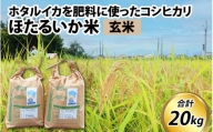 【訳あり】ほたるいか米（玄米20kg）【通年発送】