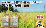 【先行予約】【新米】ほたるいか米（新米/玄米20kg）※10月以降順次発送