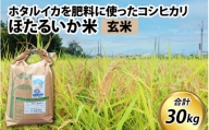 【訳あり】ほたるいか米（玄米30kg）【通年発送】