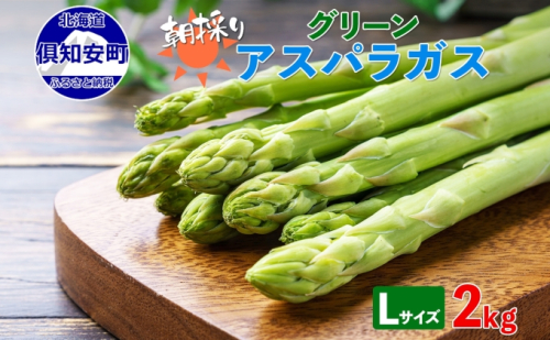 アスパラガス 北海道 グリーン 2kg セット Lサイズ 春 限定 旬 朝採り 新鮮 野菜 アスパラ ギフト gift 産地直送 産直 お取り寄せ 詰め合わせ 送料無料  71341 - 北海道倶知安町