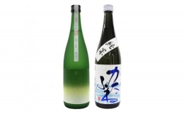 【ふるさと納税】新潟純米酒 720ml 2本セット 越路乃紅梅・かたふね