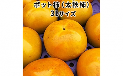 こだわり栽培ポット柿（太秋柿） 3Lサイズ9個入り 71348 - 岐阜県瑞穂市