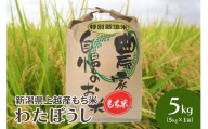 令和5年・新潟県上越産|もち米「わたぼうし」新潟県特別栽培米|5kg(白米)