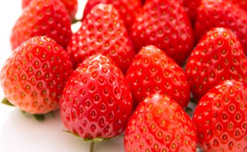 あぐり税所 錦のいちご ひのしずく Au Pay ふるさと納税