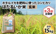 【訳あり】ほたるいか米（玄米５kg）×3回 計15kg【3ヶ月定期便】
