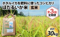 【訳あり】ほたるいか米（玄米10kg）×3回 計30kg【3ヶ月定期便】