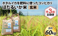 【訳あり】ほたるいか米（玄米20kg）×3回 計60kg【3ヶ月定期便】
