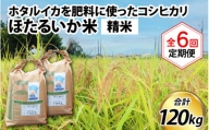 【訳あり】ほたるいか米（精米20kg）×6回 計120kg【6ヶ月定期便】